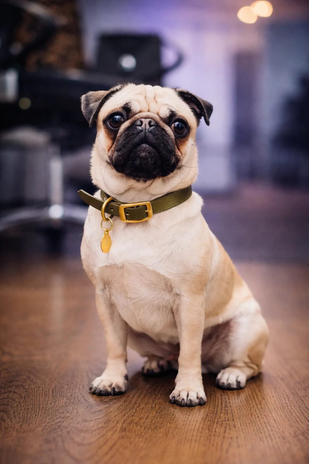 Ella - Chief Happiness Officer bei Prompt Monitoring